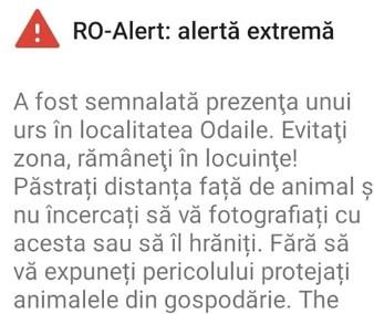 Comunele din ţară unde oamenii sunt ţinuţi în case de mesaje RO-Alert, care anunţă prezenţa urşilor  790150