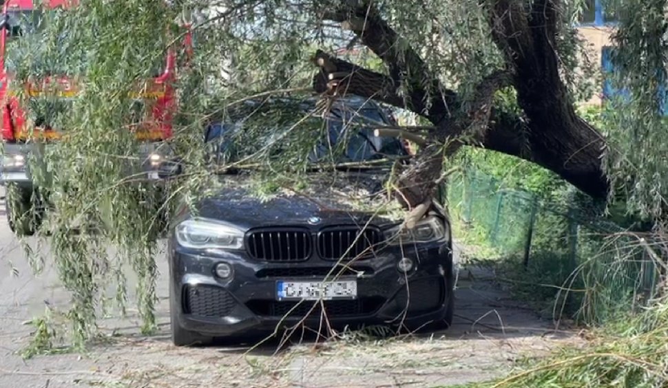 Vântul face ravagii în București, Ilfov și Constanța! Mai mulţi copaci au căzut peste mașini și rețele electrice