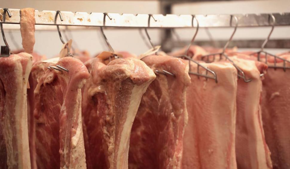 Român plecat la muncă în Germania: "Dacă nu câştigi 2.000 de euro pe lună, e jale. Nu mai veniți dacă nu câstigați banii ăștia net!" 790630