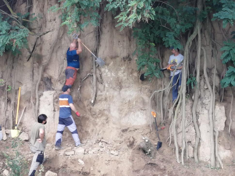Sit arheologic din paleolitic, descoperit în Vrancea. Prezintă și un element unic pentru siturile din România 790534