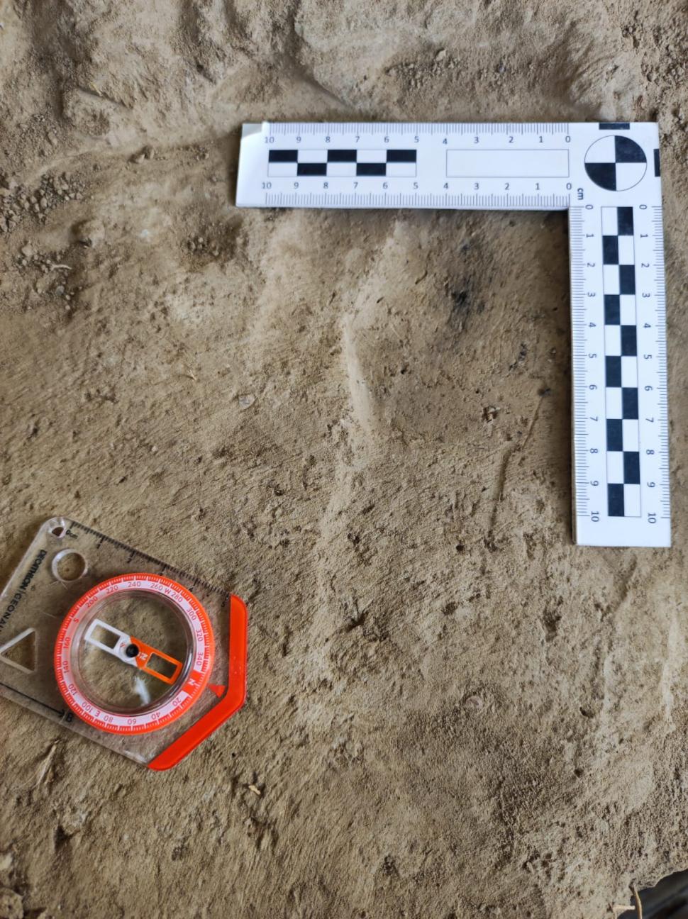 Sit arheologic din paleolitic, descoperit în Vrancea. Prezintă și un element unic pentru siturile din România 790535