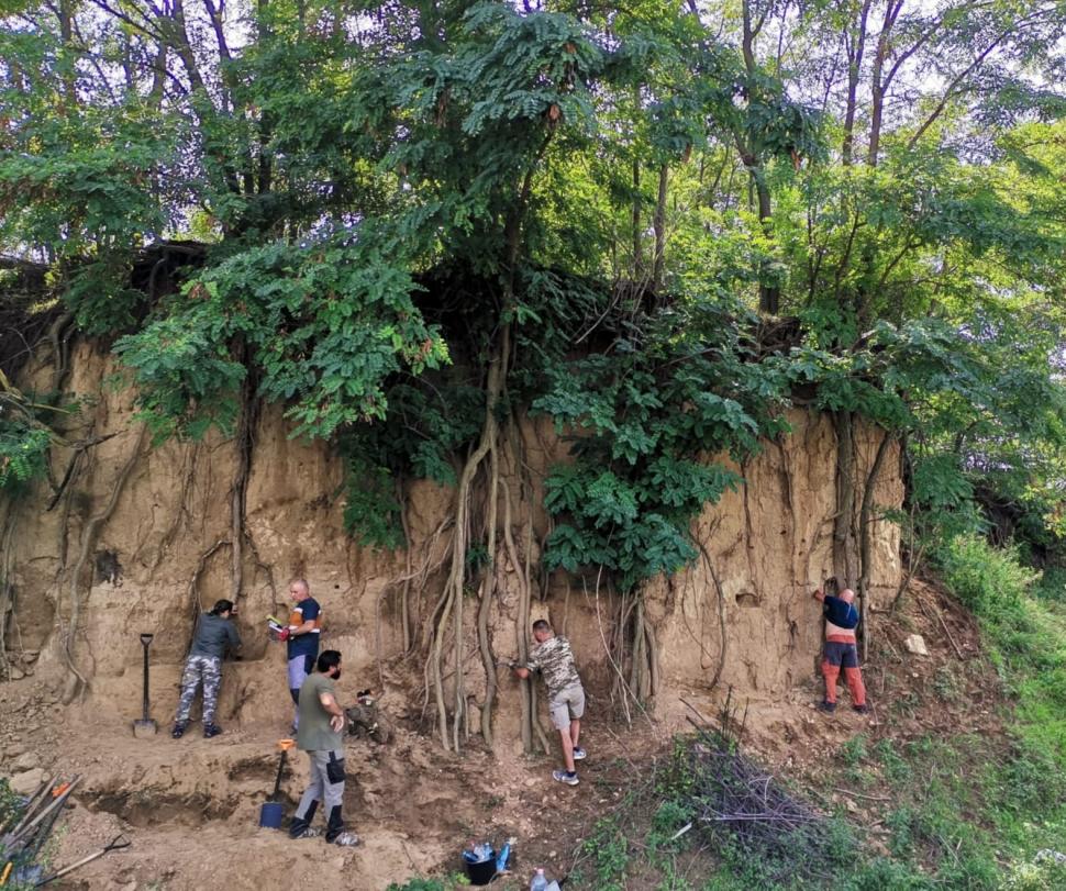 Sit arheologic din paleolitic, descoperit în Vrancea. Prezintă și un element unic pentru siturile din România 790537