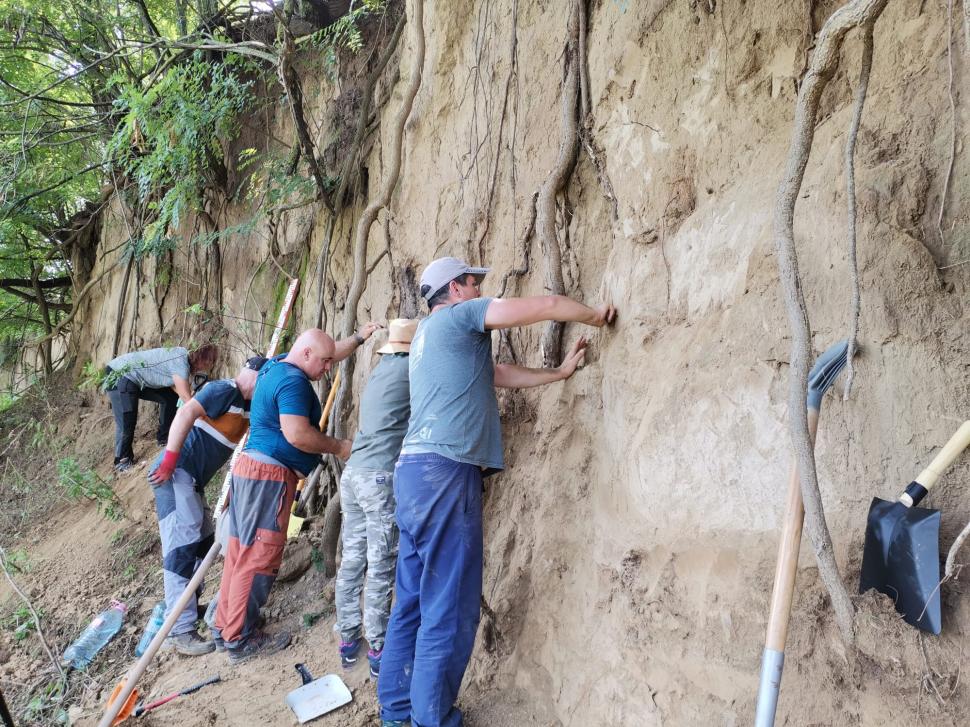 Sit arheologic din paleolitic, descoperit în Vrancea. Prezintă și un element unic pentru siturile din România 790538