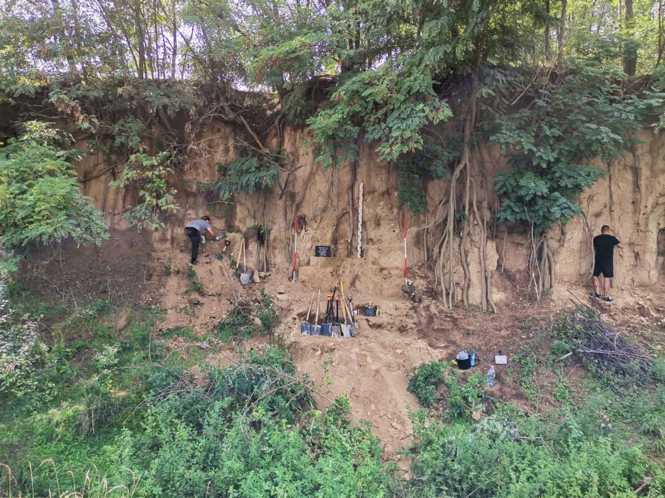 Sit arheologic din paleolitic, descoperit în Vrancea. Prezintă și un element unic pentru siturile din România 790539