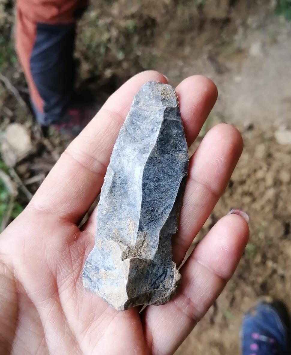 Sit arheologic din paleolitic, descoperit în Vrancea. Prezintă și un element unic pentru siturile din România 790540