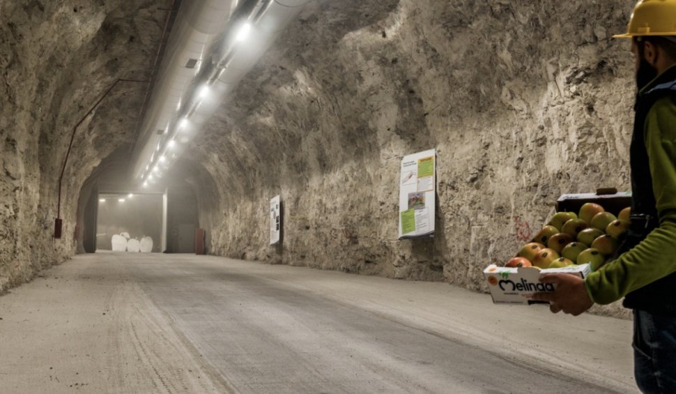 Cultivatorii depozitează fructele în peșteri pentru a reduce facturile la energie, în Italia
