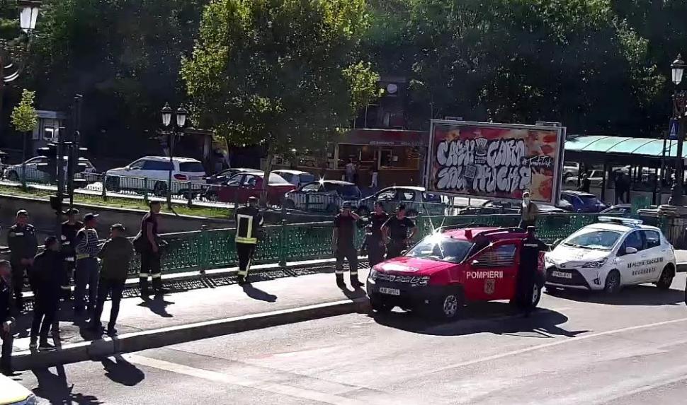 O pisică “asfaltată” sub planșeul Podului Izvor din București a fost salvată după cinci zile de captivitate  790736