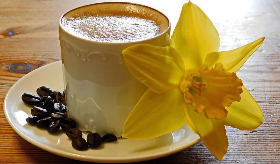 Capcana din cafeaua decofeinizată. Ce conţine, de fapt, băutura aleasă de cardiaci 791489