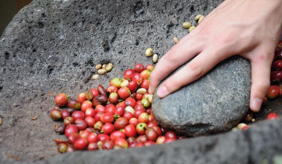 Capcana din cafeaua decofeinizată. Ce conţine, de fapt, băutura aleasă de cardiaci 791491
