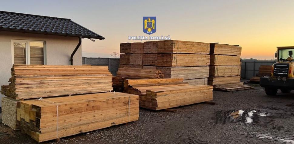146 de percheziții în capitală și în 16 județe, la hoții de lemne 791830