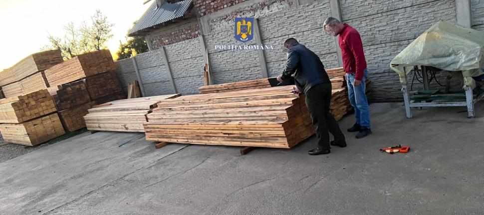 146 de percheziții în capitală și în 16 județe, la hoții de lemne 791832