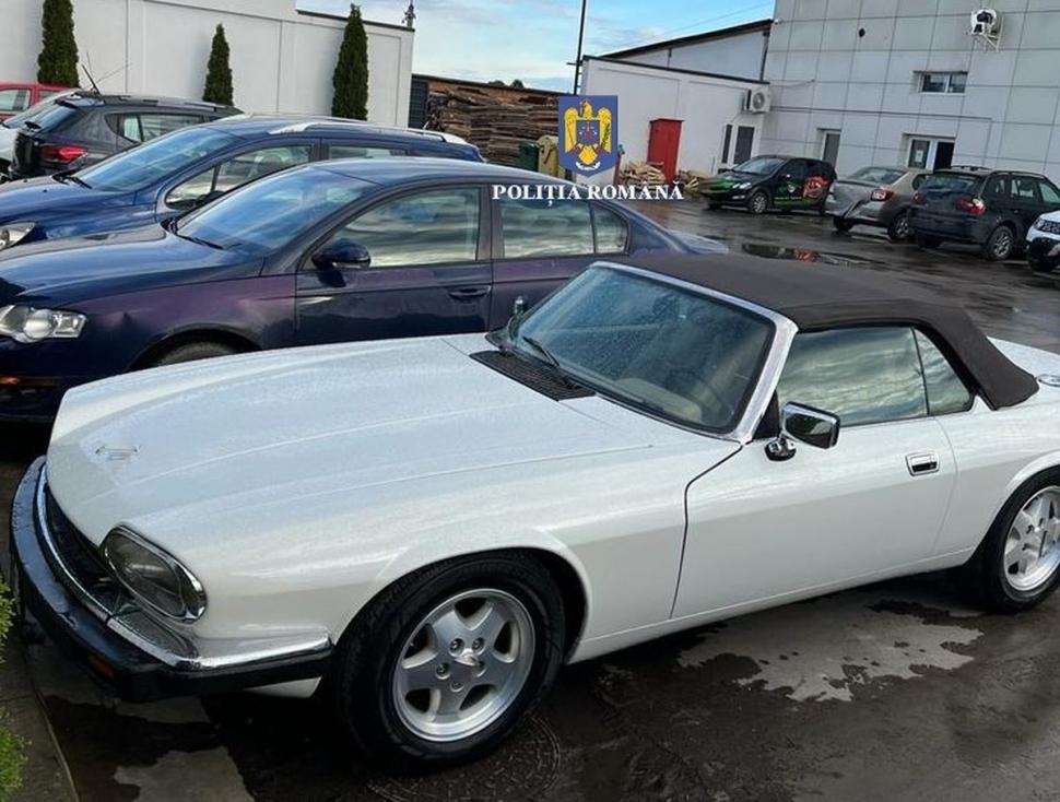 146 de percheziții în capitală și în 16 județe, la hoții de lemne 791836