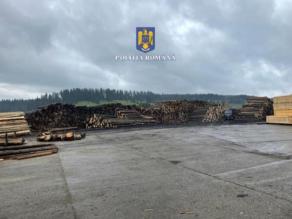 146 de percheziții în capitală și în 16 județe, la hoții de lemne 791837