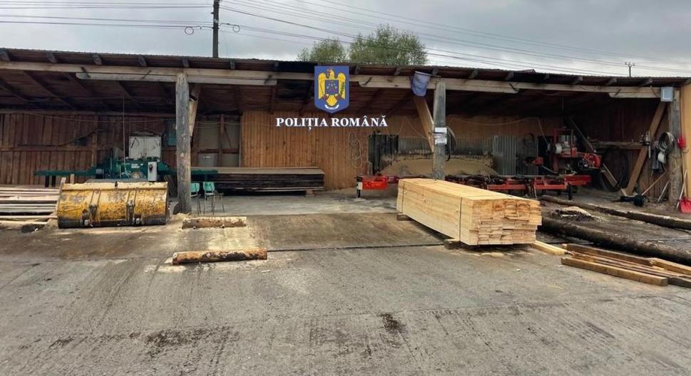 146 de percheziții în capitală și în 16 județe, la hoții de lemne 791838