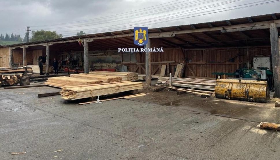 146 de percheziții în capitală și în 16 județe, la hoții de lemne 791839