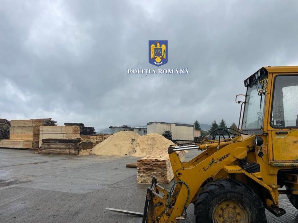 146 de percheziții în capitală și în 16 județe, la hoții de lemne 791840