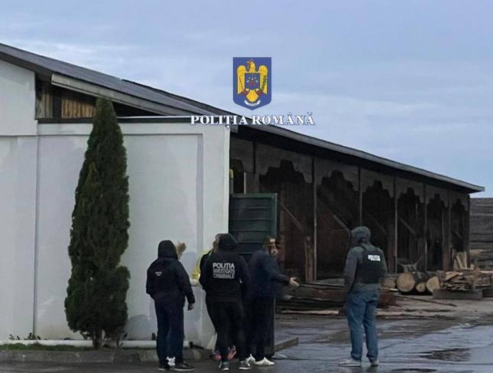 146 de percheziții în capitală și în 16 județe, la hoții de lemne 791842