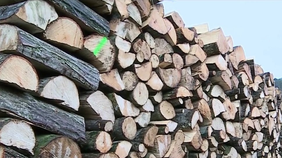 Peste 100 de oameni s-au îmbulzit la coadă, în fața unei primării din Mureş, pentru a primi lemne de foc la un preţ mai mic