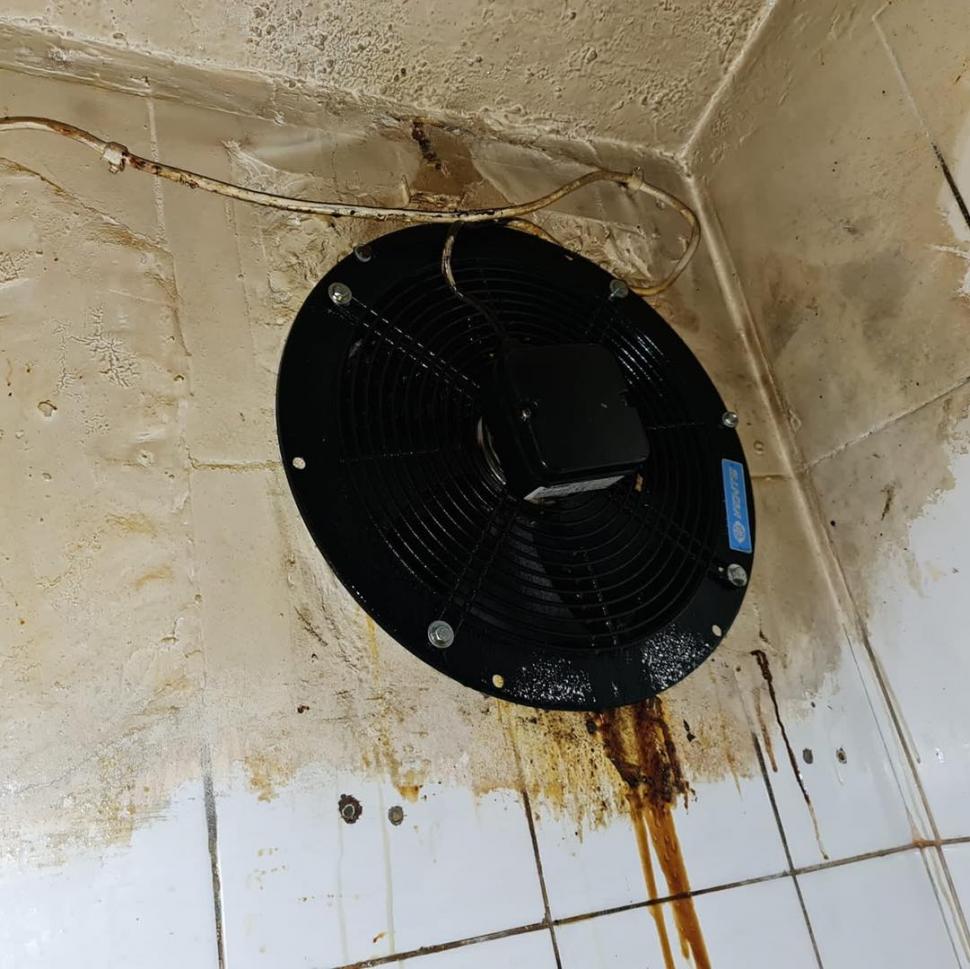 Insecte moarte şi produse stricate la un restaurant cunoscut din Bucureşti: "Templul mizeriei a fost oprit!" 793752