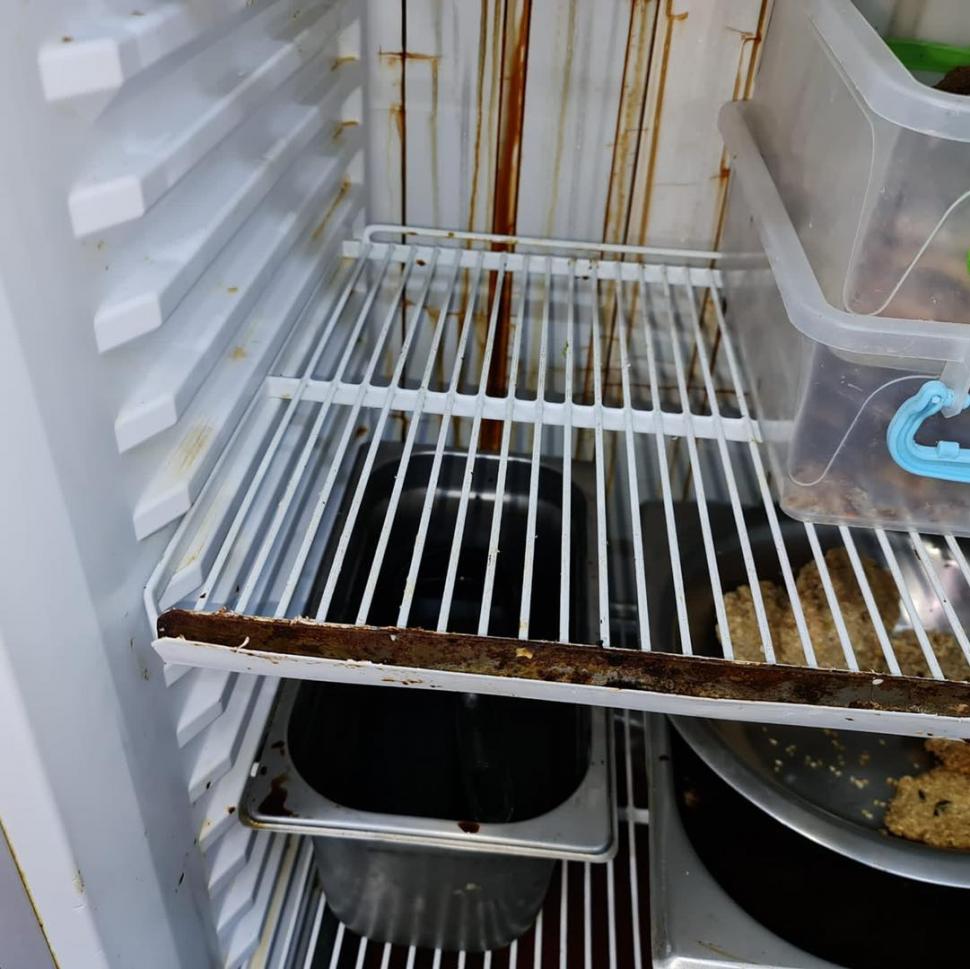 Insecte moarte şi produse stricate la un restaurant cunoscut din Bucureşti: "Templul mizeriei a fost oprit!" 793754