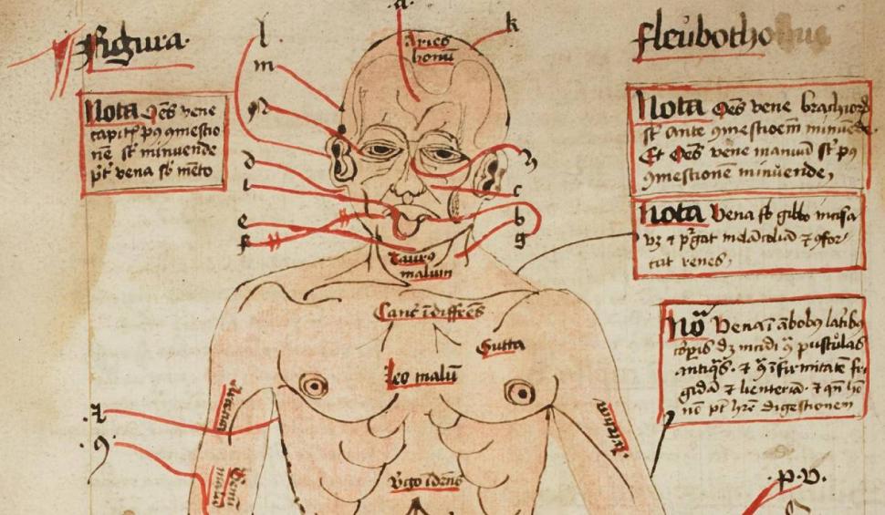 Cu ce se trata cataracta în Evul Mediu. Mai multe leacuri naturiste vechi de sute de ani au ieşit la iveală 794272