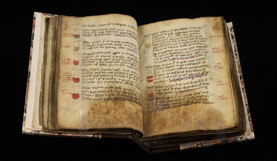 Cu ce se trata cataracta în Evul Mediu. Mai multe leacuri naturiste vechi de sute de ani au ieşit la iveală 794274