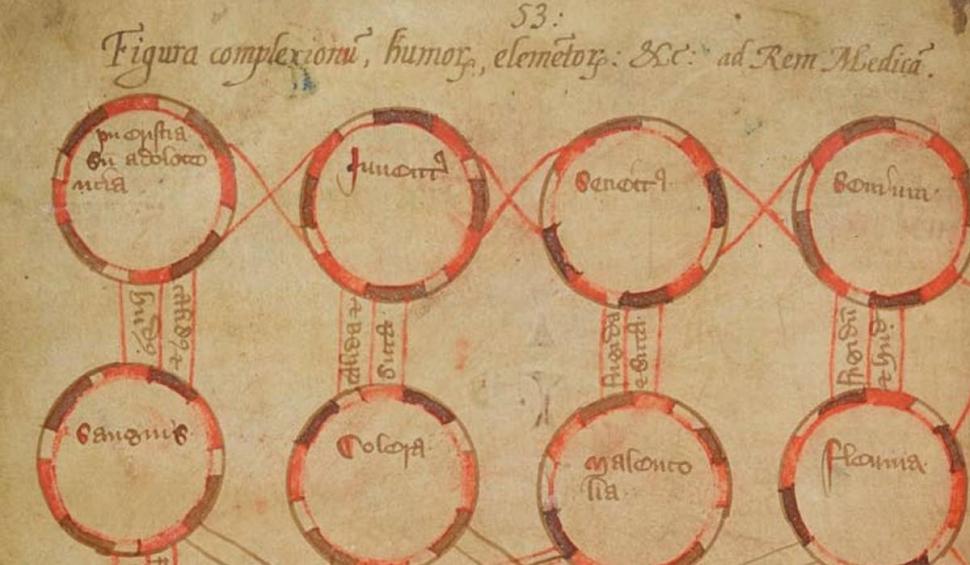 Cu ce se trata cataracta în Evul Mediu. Mai multe leacuri naturiste vechi de sute de ani au ieşit la iveală 794275