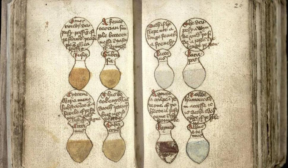 Cu ce se trata cataracta în Evul Mediu. Mai multe leacuri naturiste vechi de sute de ani au ieşit la iveală 794276