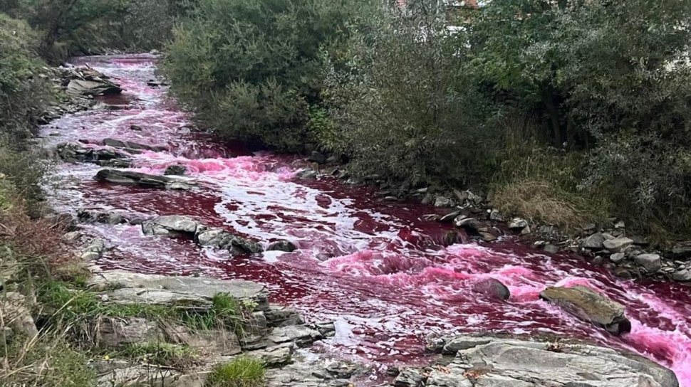 Fenomen neobişnuit pe un râu din Bistriţa! Apa s-a înroşit brusc
