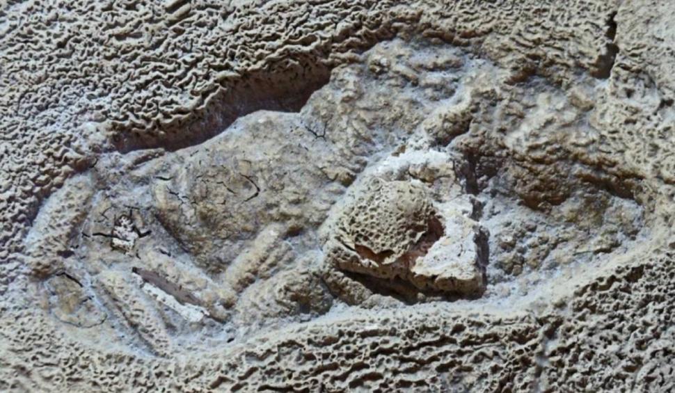 Unicul gheţar subteran din Munţii Vlădeasa, pe cale de dispariţie. Aici a fost găsită cea mai veche urmă umană din România 794576