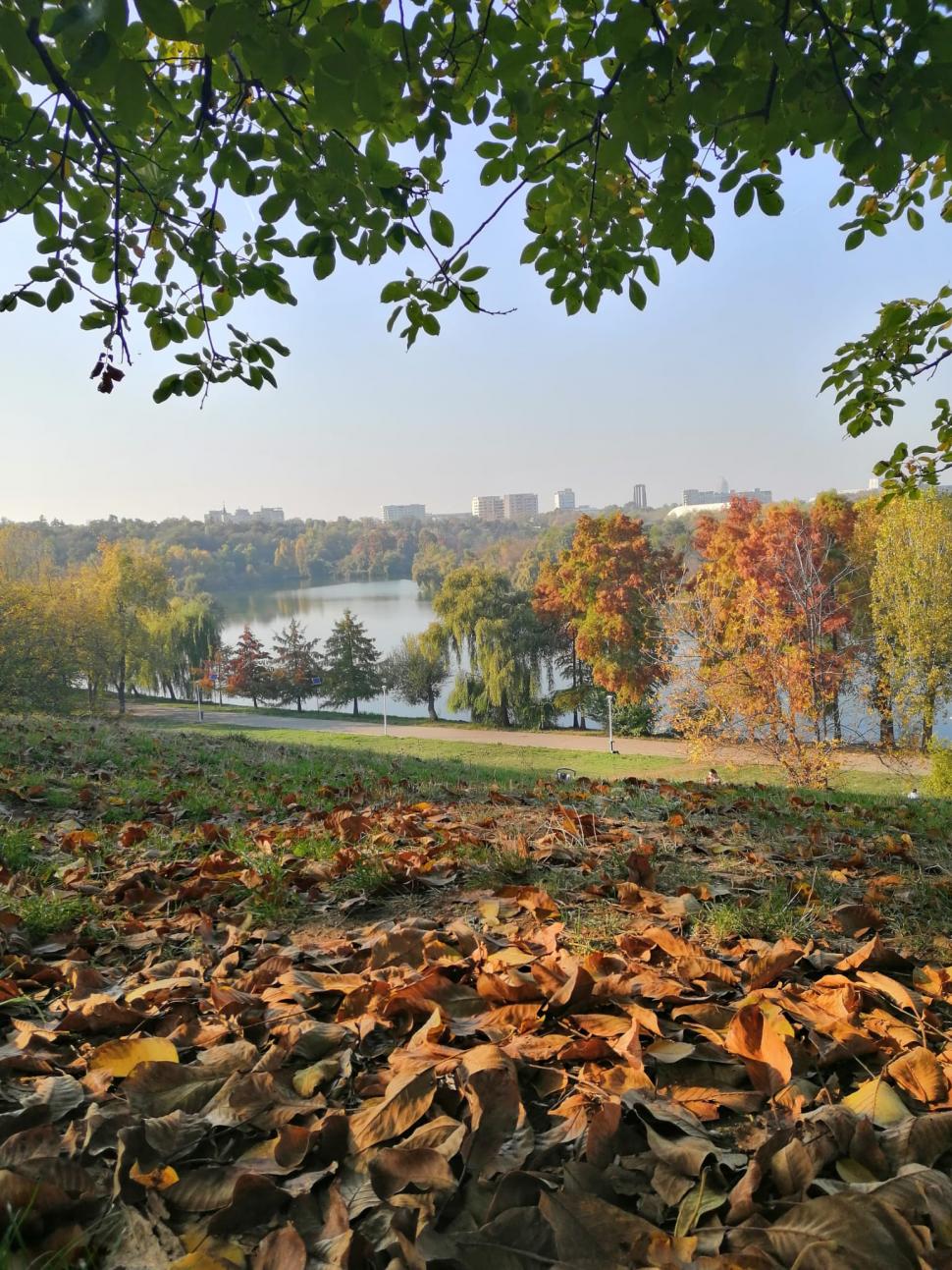 Prognoza meteo actualizată | Cât de cald va fi în acest weekend 794830