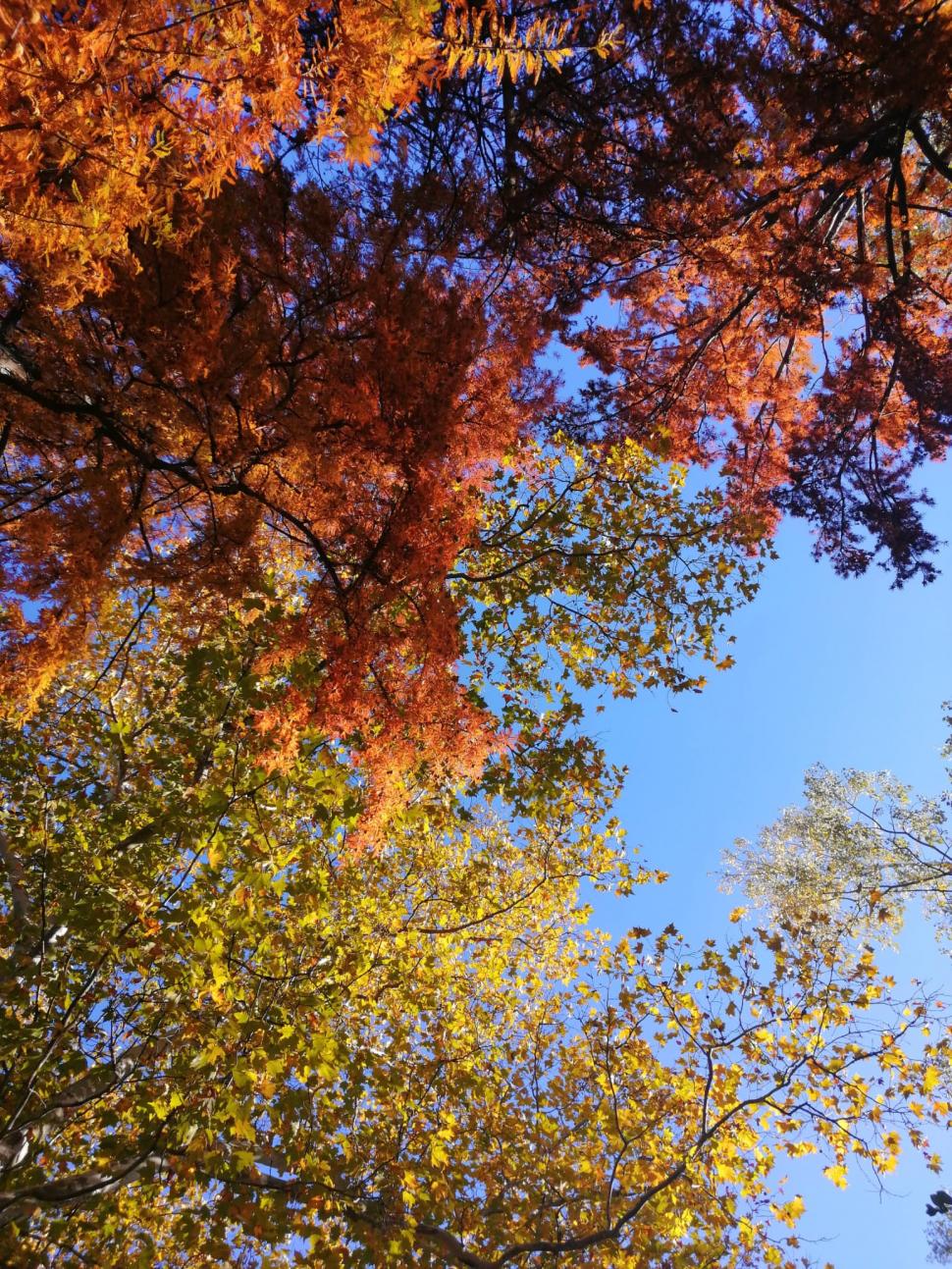 Prognoza meteo actualizată | Cât de cald va fi în acest weekend 794831