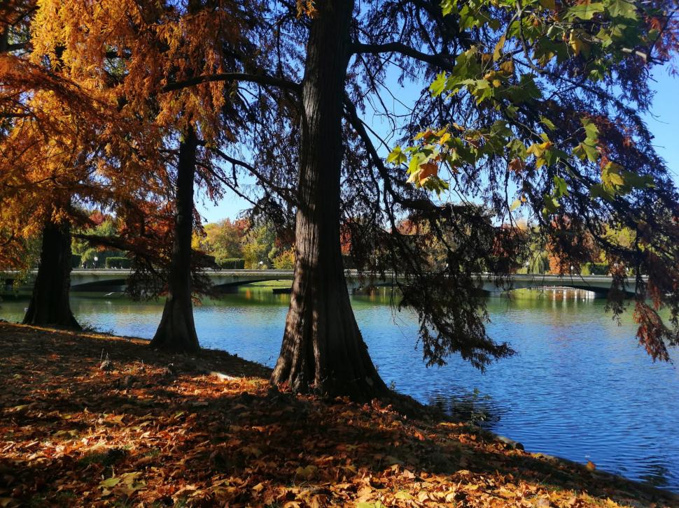 Prognoza meteo actualizată | Cât de cald va fi în acest weekend 794832