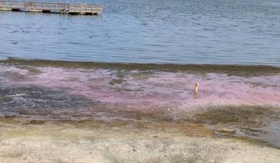 Fenomen bizar la Constanţa. Apa Lacului Techirghiol s-a colorat în roz. Ce spun experţii