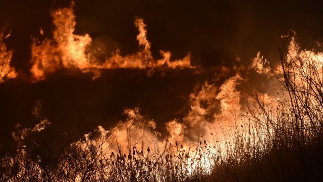 Incendiu uriaş în Delta Dunării pe o suprafaţă de zeci de hectare unde pompierii nu pot interveni