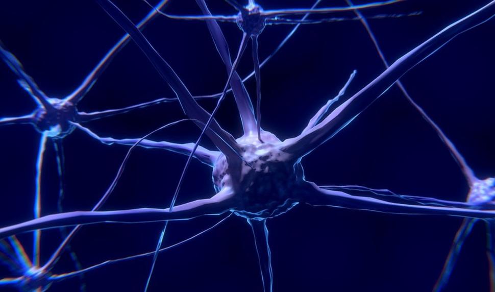 Care este cea mai bună carne pentru creier. Prof. dr. Vlad Ciurea: "Să facem ca această bijuterie de la Dumnezeu să funcționeze" 795135