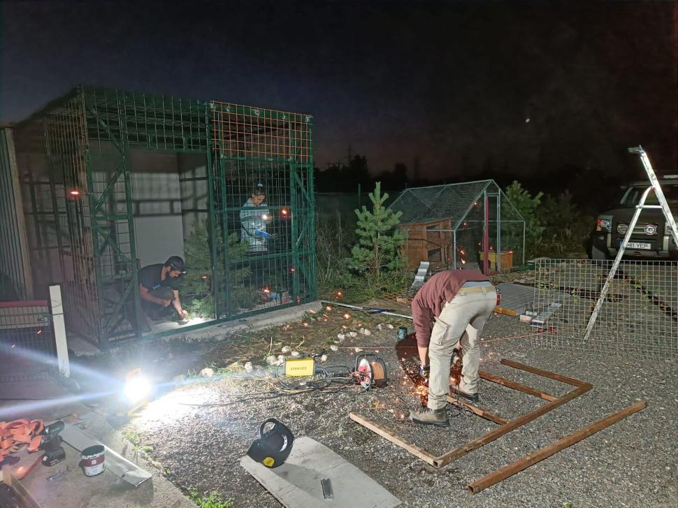 Povestea înduioșătoare a lui Ton, ratonul adus ilegal în România și abandonat de stăpâni: "Pare un ghemotoc de blană numai bun de pufoșit" 795491