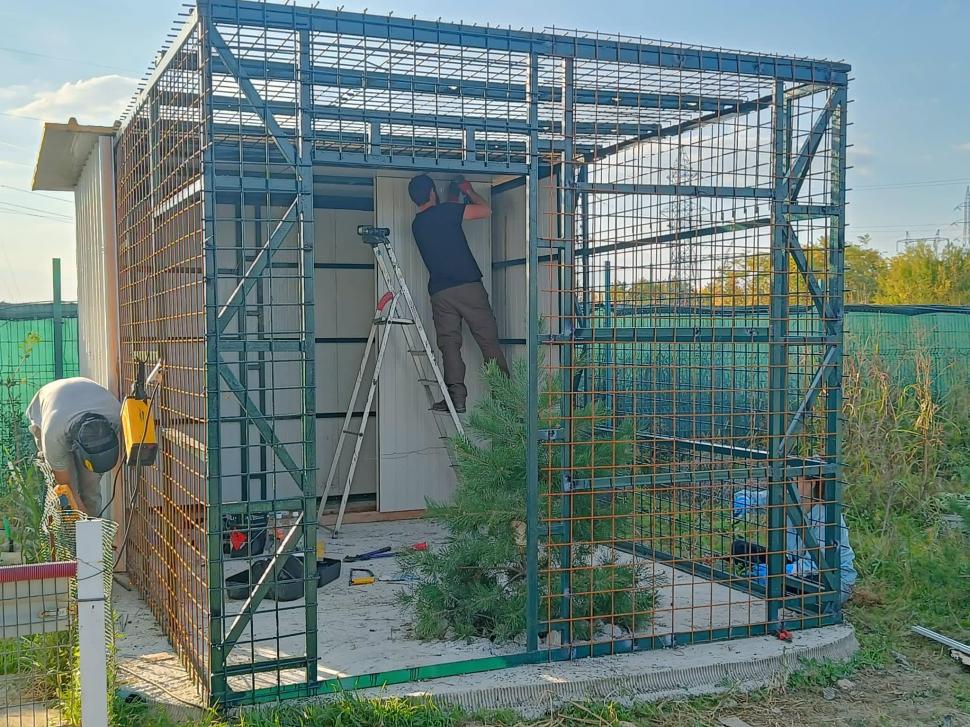 Povestea înduioșătoare a lui Ton, ratonul adus ilegal în România și abandonat de stăpâni: "Pare un ghemotoc de blană numai bun de pufoșit" 795492