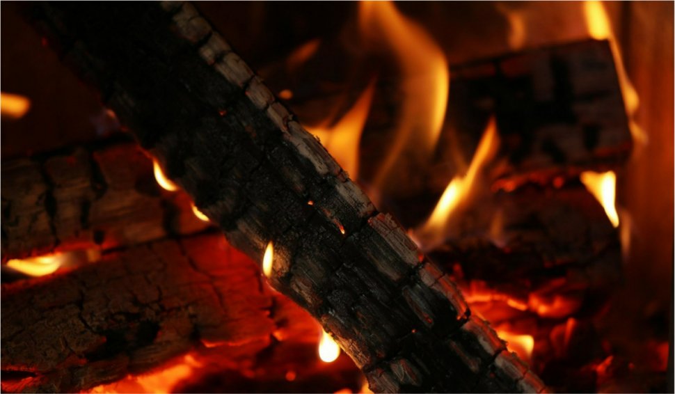 Unde se vinde cel mai ieftin lemn de foc din România, sub preţul guvernului