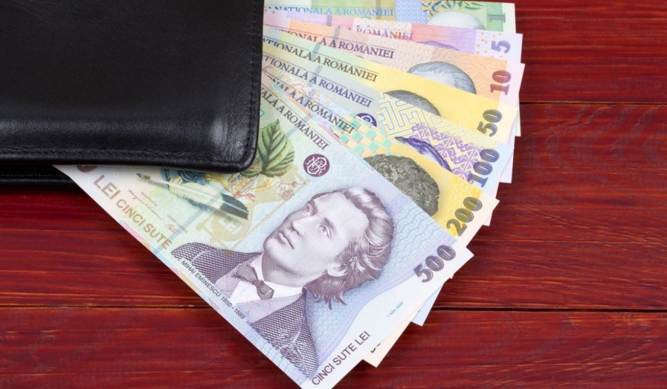 Bani de la stat pentru românii care investesc în anumite zone din țară. Condițiile de finanțare
