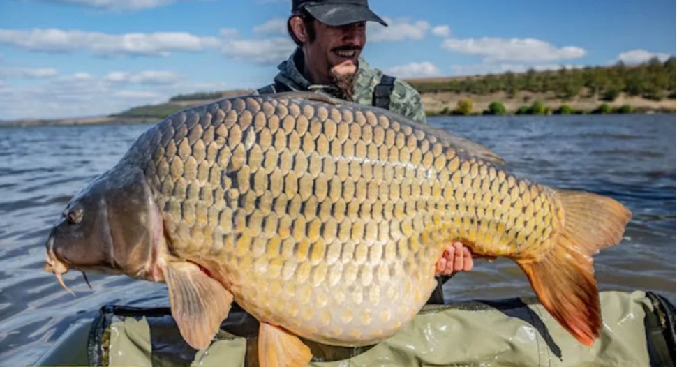 A fost prins "monstrul" din Lacul Horgeşti. Are 30 de kilograme şi le-a dat ceva de furcă pescarilor