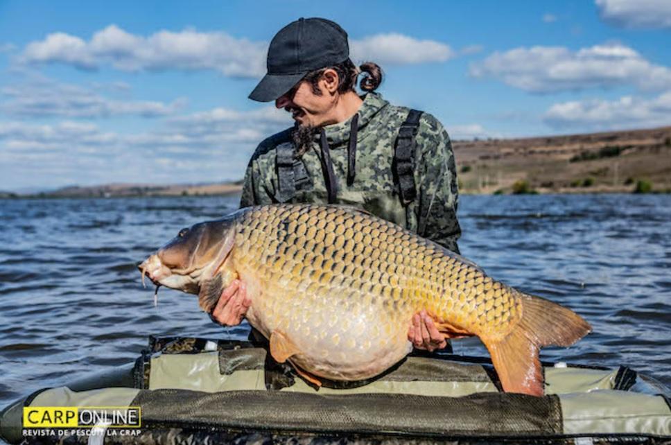 A fost prins "monstrul" din Lacul Horgeşti. Are 30 de kilograme şi le-a dat ceva de furcă pescarilor 795751