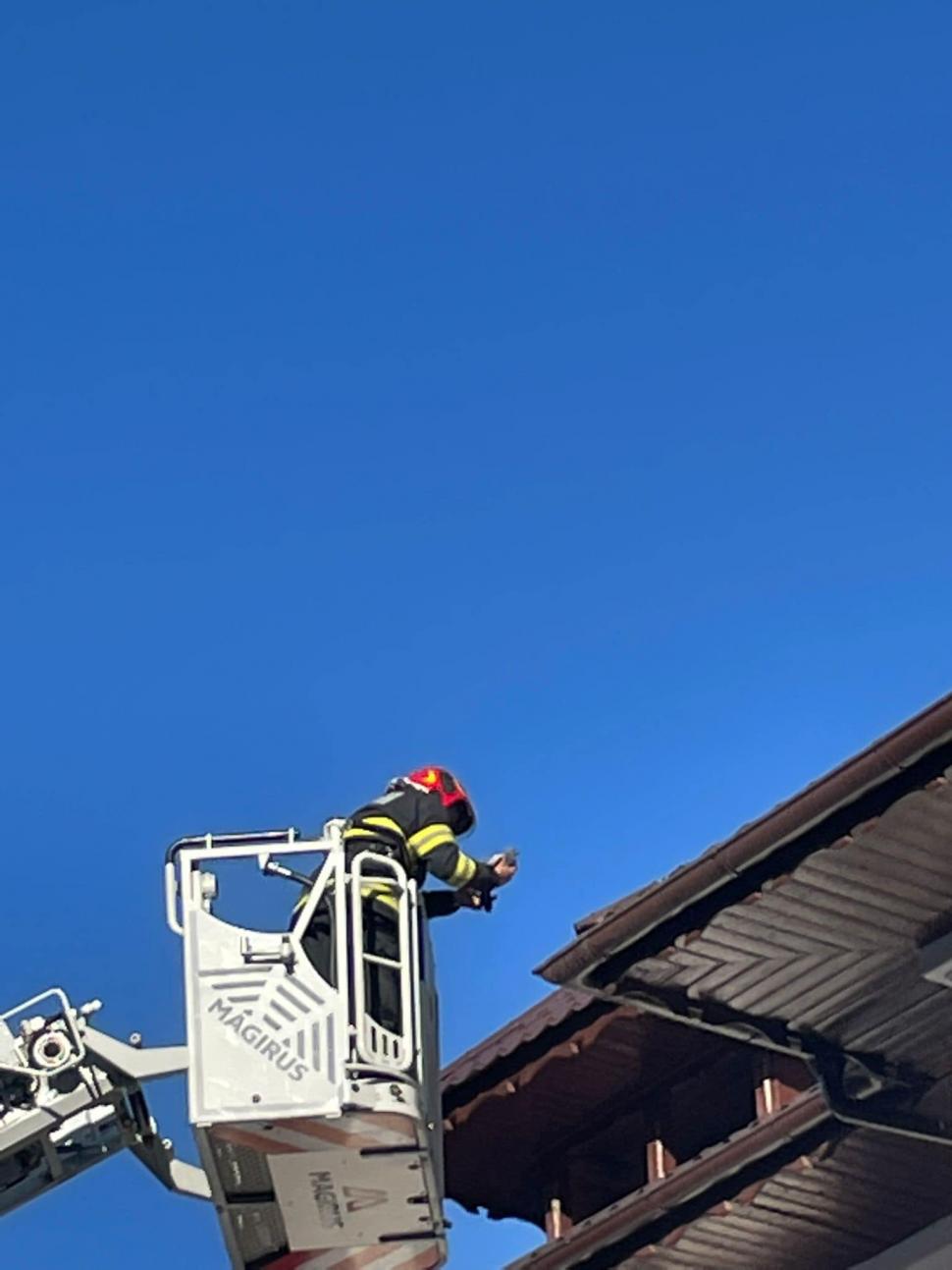 Acțiune inedită a pompierilor de la ISU Gorj. Elevii i-au chemat să salveze un porumbel prins pe acoperișul școlii lor 795978