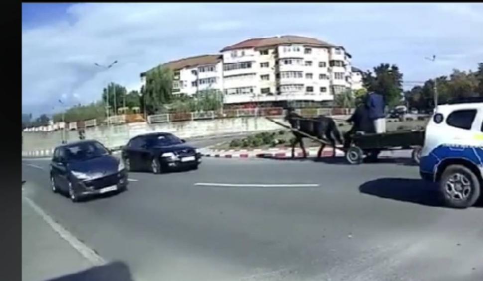 Momentul în care o căruță a intrat pe contrasens în giratoriu, chiar pe lângă mașina de poliție, în Focșani. Ce a pățit "șoferul" 796015