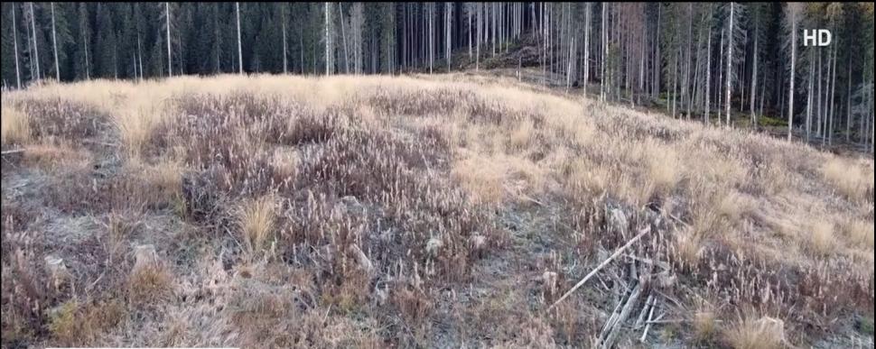 Reţetă la nivel înalt: Cum faci să dispără un munte | Dezvăluiri din afacerea fraţilor Cîţu 796063