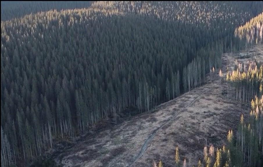 Reţetă la nivel înalt: Cum faci să dispără un munte | Dezvăluiri din afacerea fraţilor Cîţu 796064