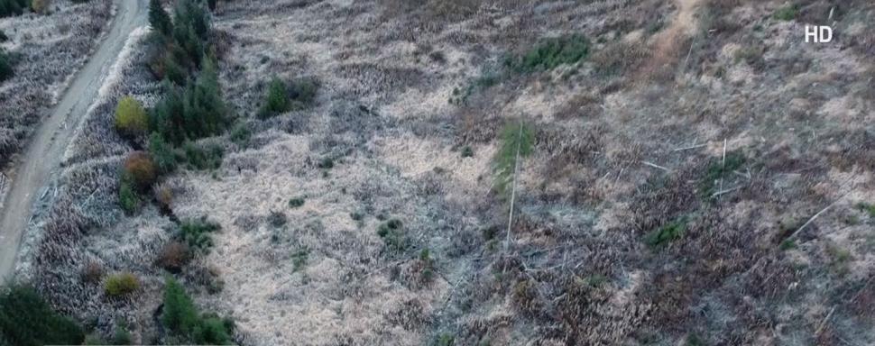 Reţetă la nivel înalt: Cum faci să dispără un munte | Dezvăluiri din afacerea fraţilor Cîţu 796065