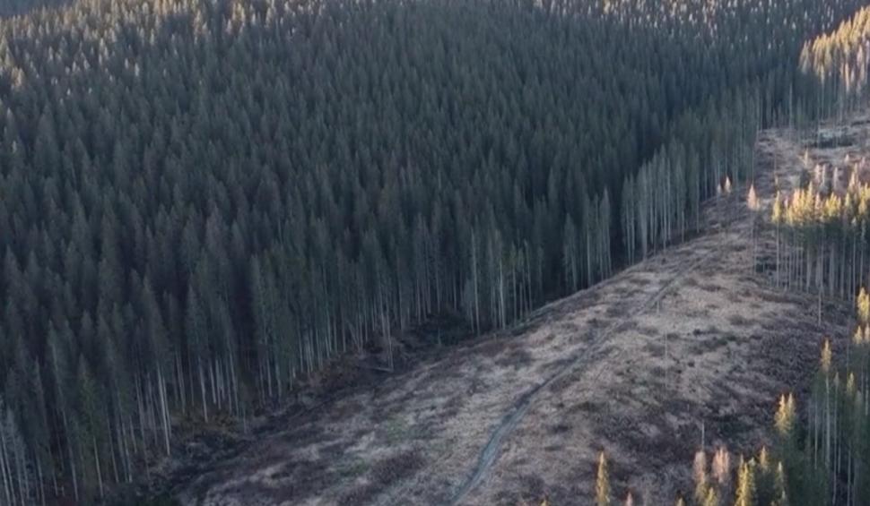 Reţetă la nivel înalt: Cum faci să dispără un munte | Dezvăluiri din afacerea fraţilor Cîţu 796066