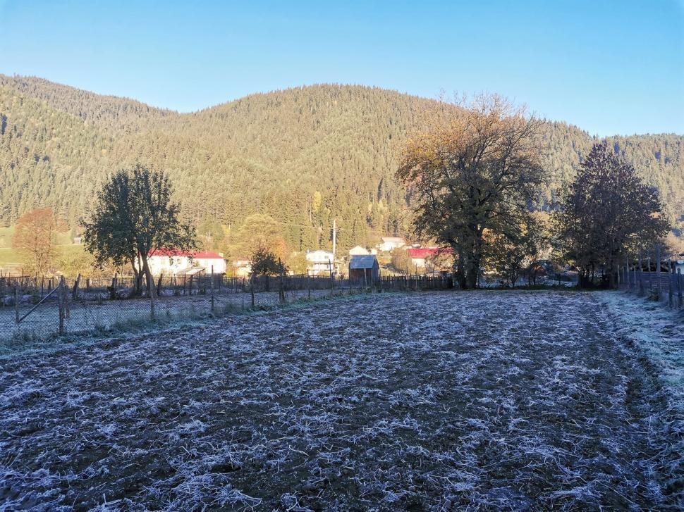 Minime record în România. "Bătălie" strânsă pentru polul frigului în această dimineaţă 795944