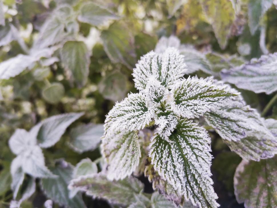 Minime record în România. "Bătălie" strânsă pentru polul frigului în această dimineaţă 795947